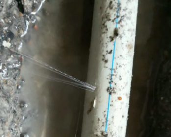 浉河卫生间测漏水多少钱