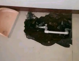 浉河卫生间测漏水多少钱